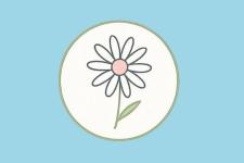 Daisy Admin new
