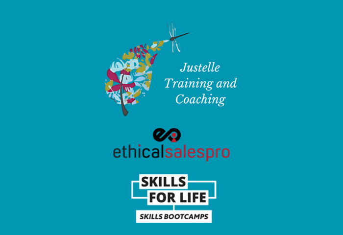 skills bootamp visual